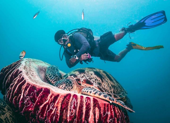 diving gili islands