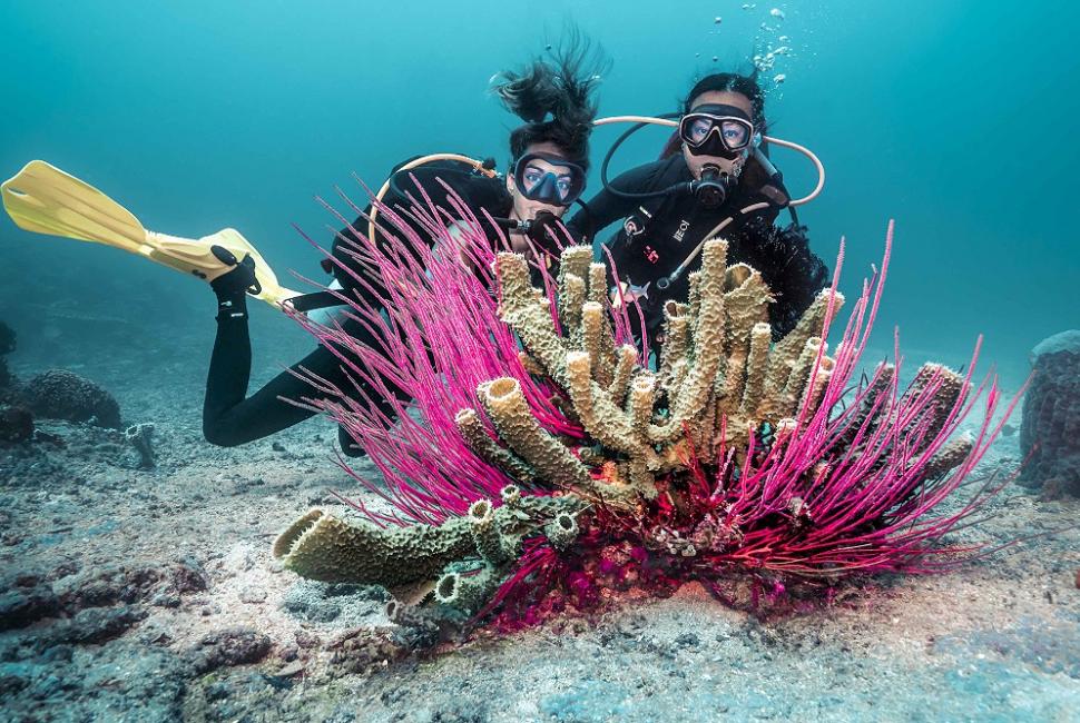 Diving on Gilis