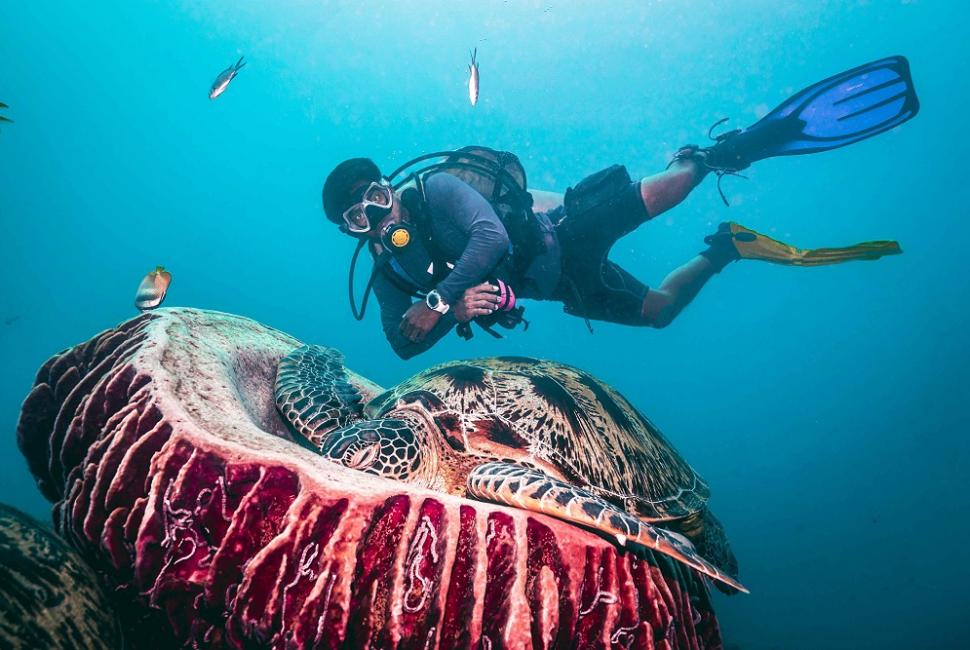 Diving Gili Islands